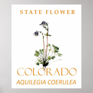 Poster Fleur du territoire du Colorado Aquilegia coerulea