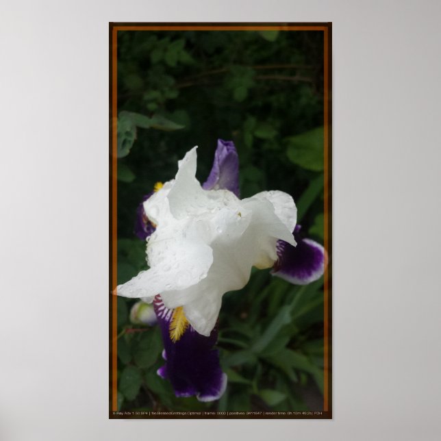 Poster Fleur épique 2 (Devant)