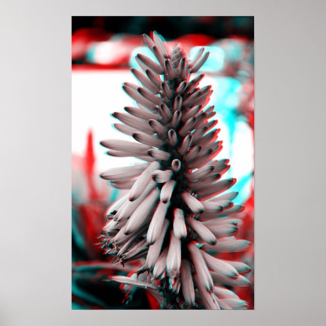 Poster Fleur fou 3D (Devant)