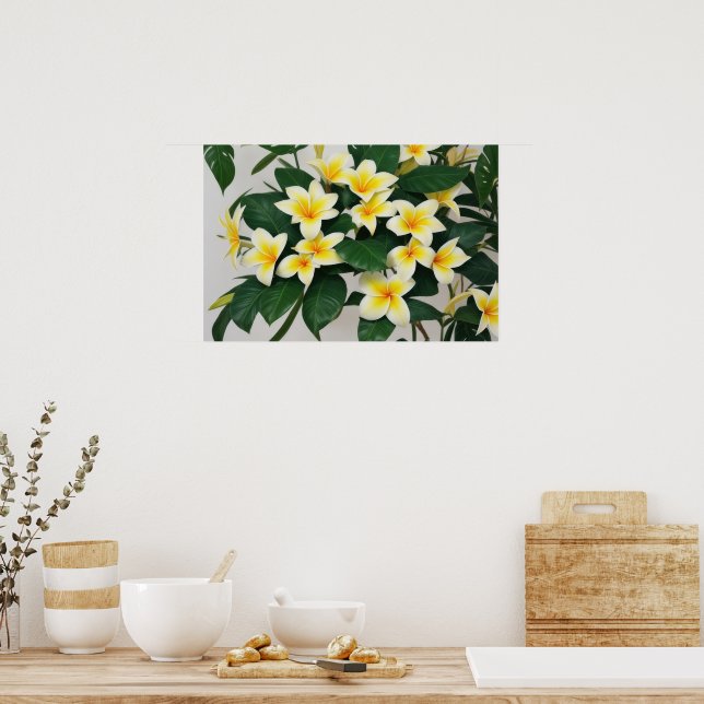 Poster Fleur Frangipani blanc (Cuisine)