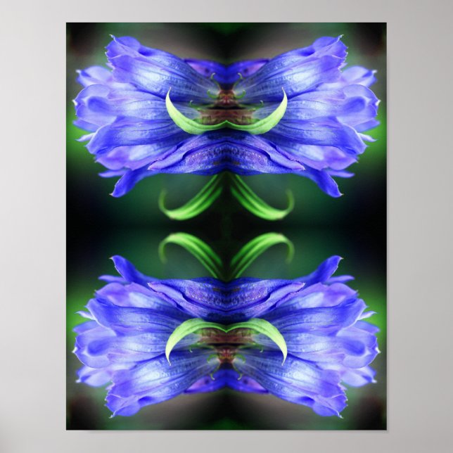 Poster Fleur Gentienne Bleue Art Abstrait (Devant)