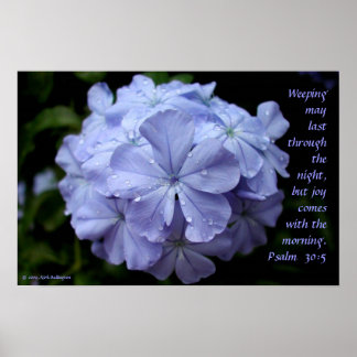 Poster Fleur humide
