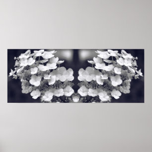 Poster Fleur Hydrangea Noir et Blanc Miroir Abstrait
