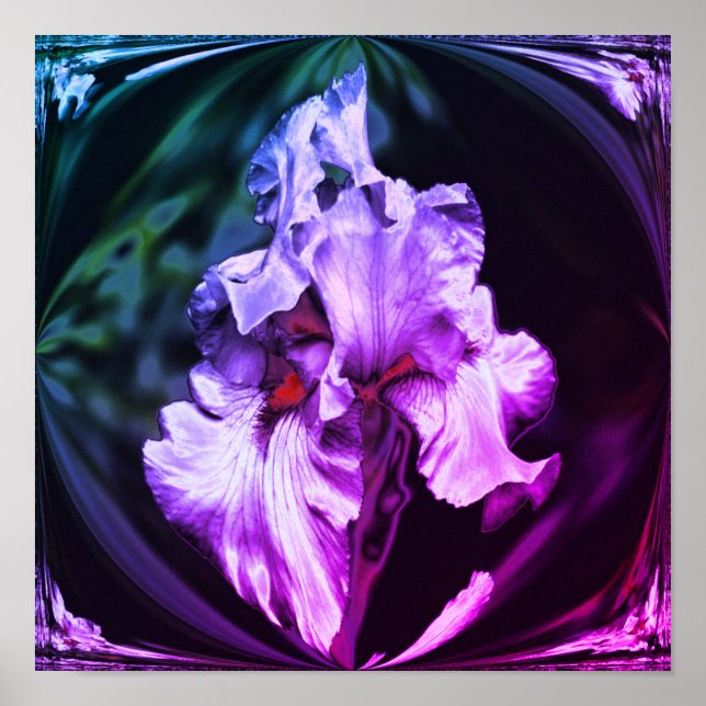 Poster Fleur Iris Abstraite (Devant)