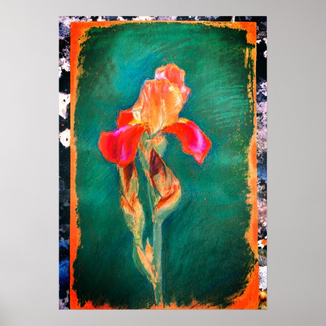Poster Fleur Iris colorée (Devant)