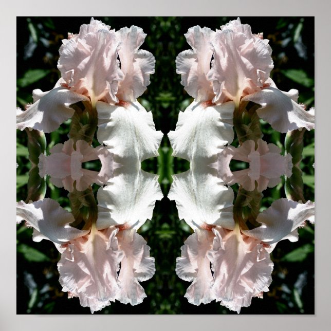 Poster Fleur Iris Lourd Vers Le Haut Près Abstrait (Devant)