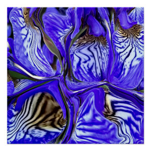Poster Fleur Iris Violet