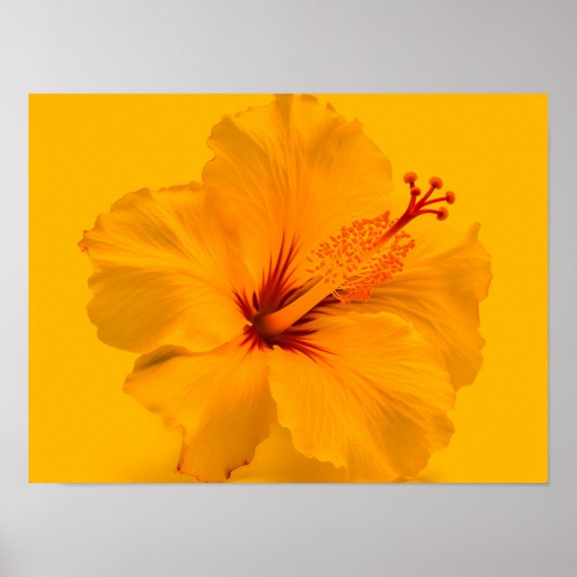 Poster Fleur jaune (Devant)
