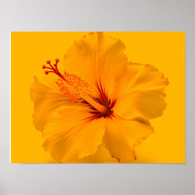 Poster Fleur jaune (Devant)