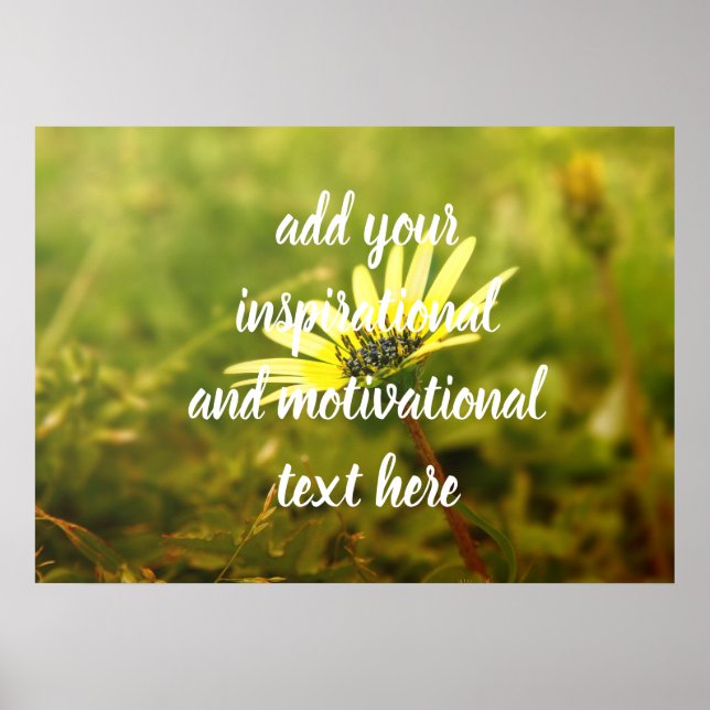 Poster Fleur jaune (Devant)