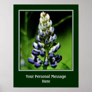 Poster Fleur Lupine Bleu Sauvage Personnalisée