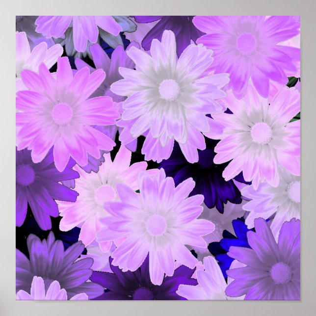 Poster Fleur mauve (Devant)