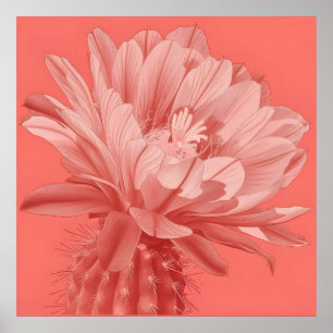Poster Fleur minimaliste de cactus coralliens