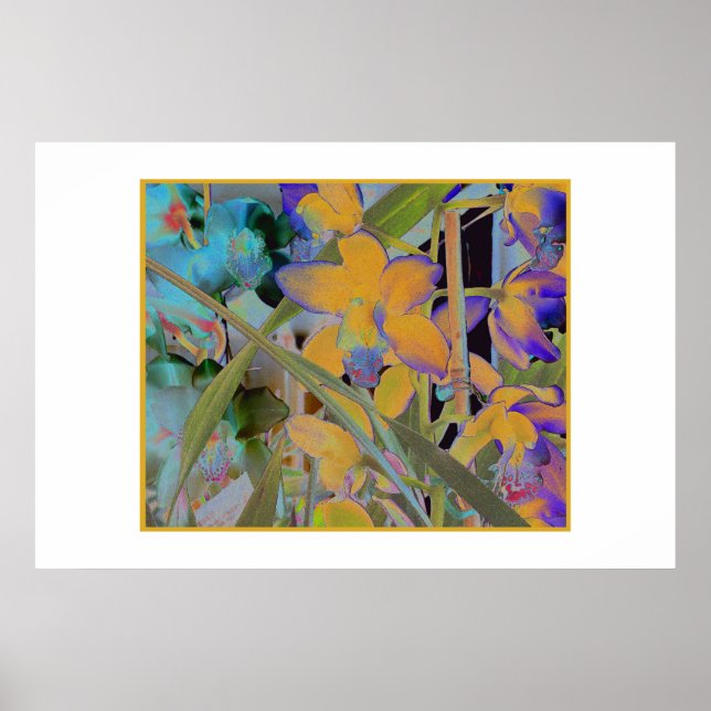 Poster Fleur nocturne (Devant)