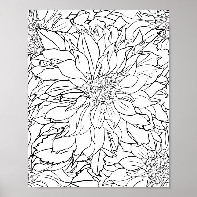 Poster Fleur noire et blanche Dahlia (Devant)