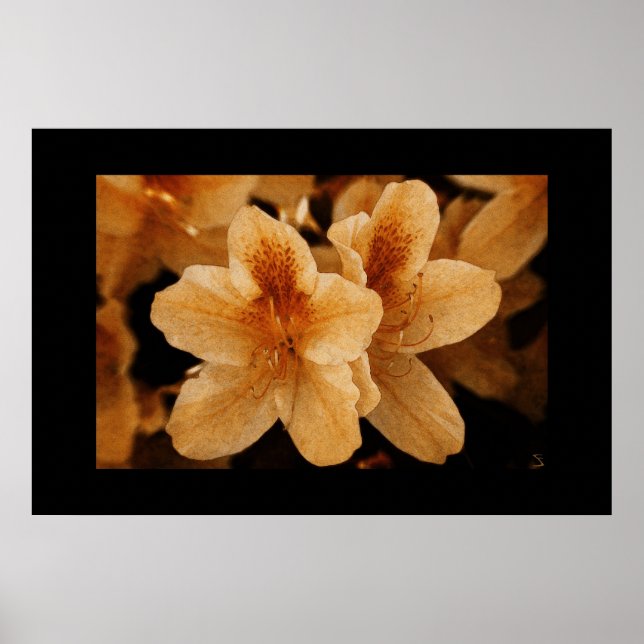 Poster Fleur orange 2 : Bordure noire (Devant)