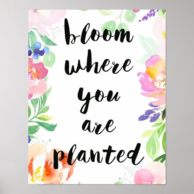 Poster Fleur Où Vous Avez Planté Aquarelle Florale (Devant)