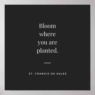 Poster Fleur où vous avez planté St Francis de Sales