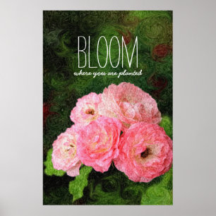 Poster Fleur où vous êtes inspiration rose plantée de