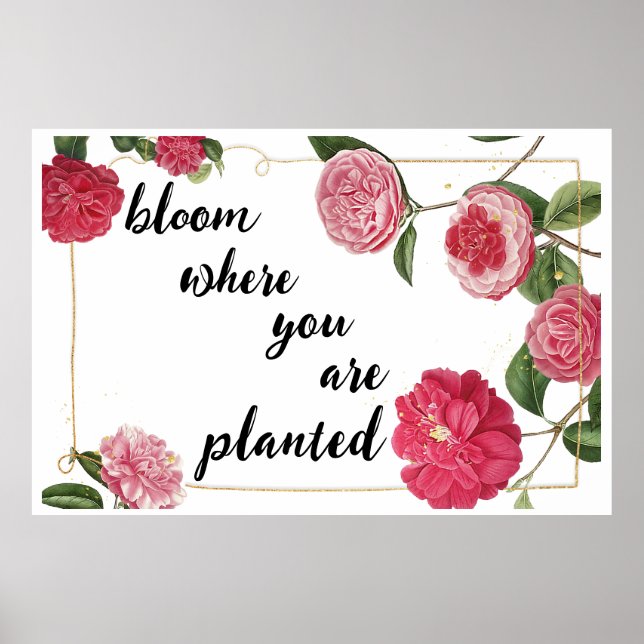 Poster Fleur Où vous êtes planté (Devant)