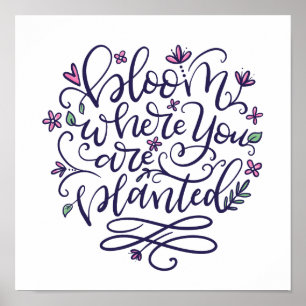 Poster Fleur où vous êtes planté, lettrage manuel