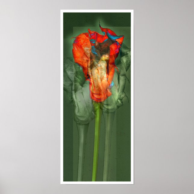 Poster Fleur Passion #6 (Devant)