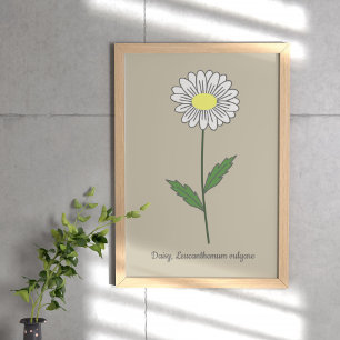 Poster Fleur pastel de marguerite botanique