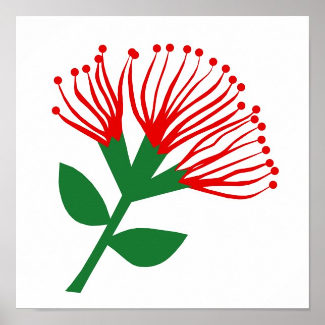 Poster Fleur Pohutukawa, Nouvelle-Zélande (Devant)