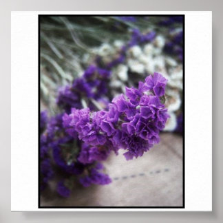 Poster Fleur pourpre