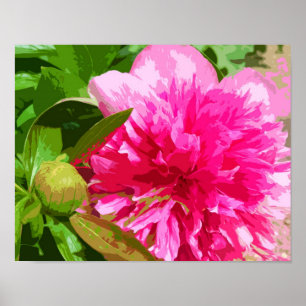 Poster Fleur rose