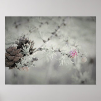 Poster Fleur rose à Larch Noir et Blanc
