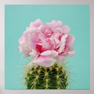 Poster Fleur rose Au-Dessus de Spiky Cactus