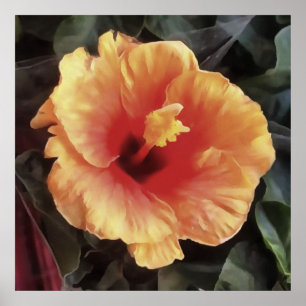Poster Fleur Rose chinoise Fleur Artistique Florale
