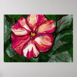 Poster Fleur rose de baume