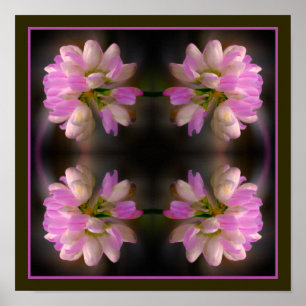 Poster Fleur Rose Et Blanc Fermer Abstrait