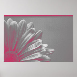Poster Fleur rose surlignée