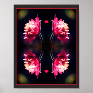 Poster Fleur rouge au soleil fermer miroir Abstrait