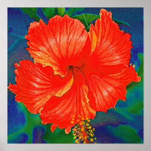 Poster Fleur rouge de ketmie