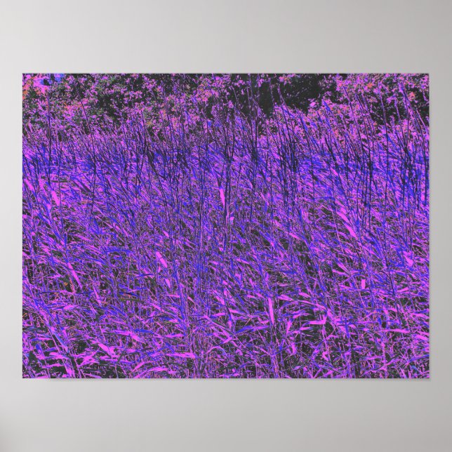 POSTER FLEUR SAUVAGE (Devant)