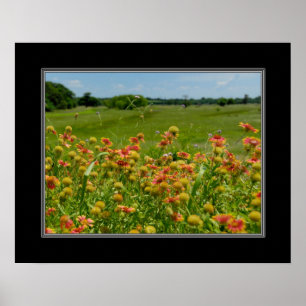Poster fleur sauvage 16x20 couvrant indien