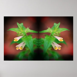 Poster Fleur sauvage blanc minuscule gros plan miroir Abs