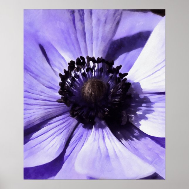 Poster Fleur sauvage d'anémone bleu Lilac (Devant)