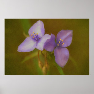 Poster Fleur sauvage d'art à deux fleurs violettes