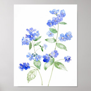 Poster fleur sauvage de fleurs Brunnera bleu délicat