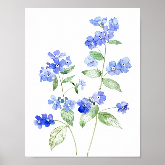 Poster fleur sauvage de fleurs Brunnera bleu délicat (Devant)