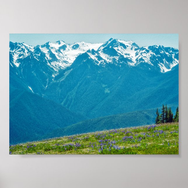 Poster Fleur sauvage et Montagnes (Devant)