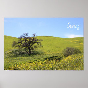 Poster Fleur sauvage Hillside Photo Oak Nature Pittoresqu