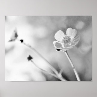 Poster Fleur simple noir et blanc