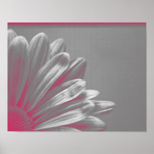 Poster Fleur surlignée rose