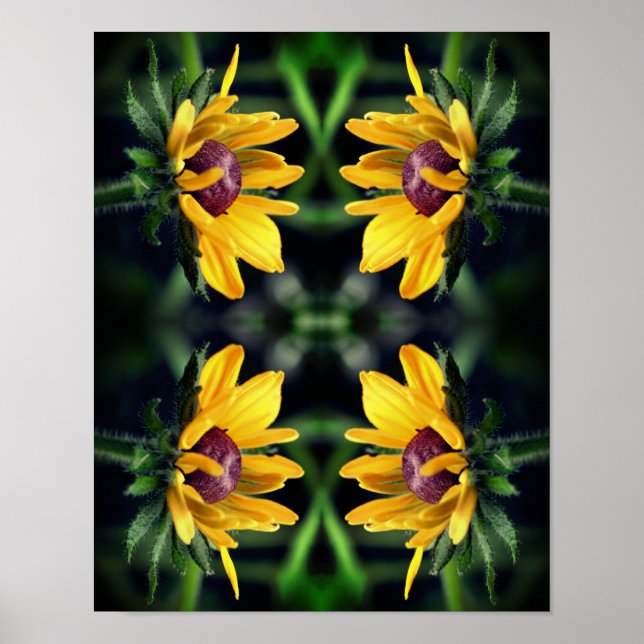 Poster Fleur Susan Black Eyed dépliant Abstrait (Devant)